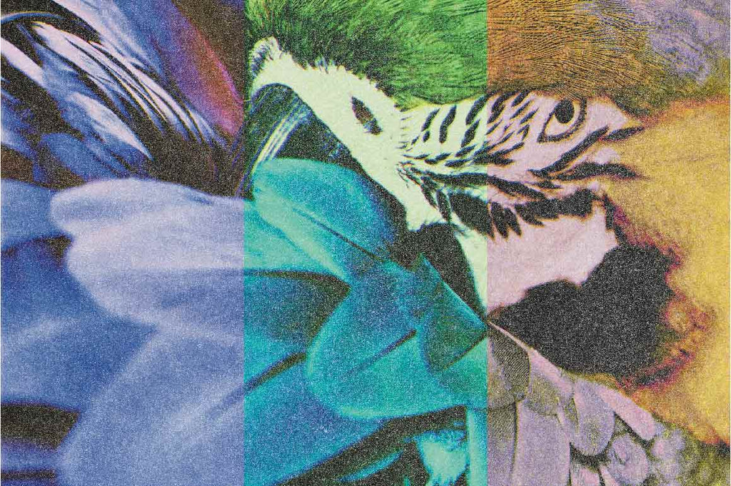 Using the Risograph Print Pack for Photographs in Procreate