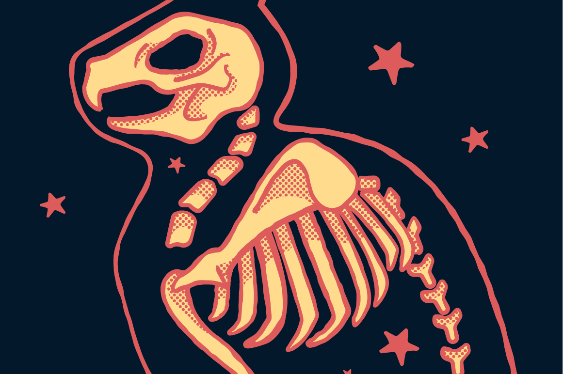 Black Magic Halftones | Vector Halftone Pattern Brushes for Adobe Illustrator