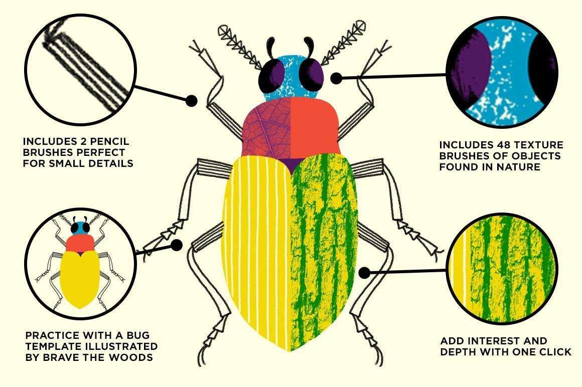 Bug Lab | Nature Texture Brushes for Affinity Brushes RetroSupply Co.