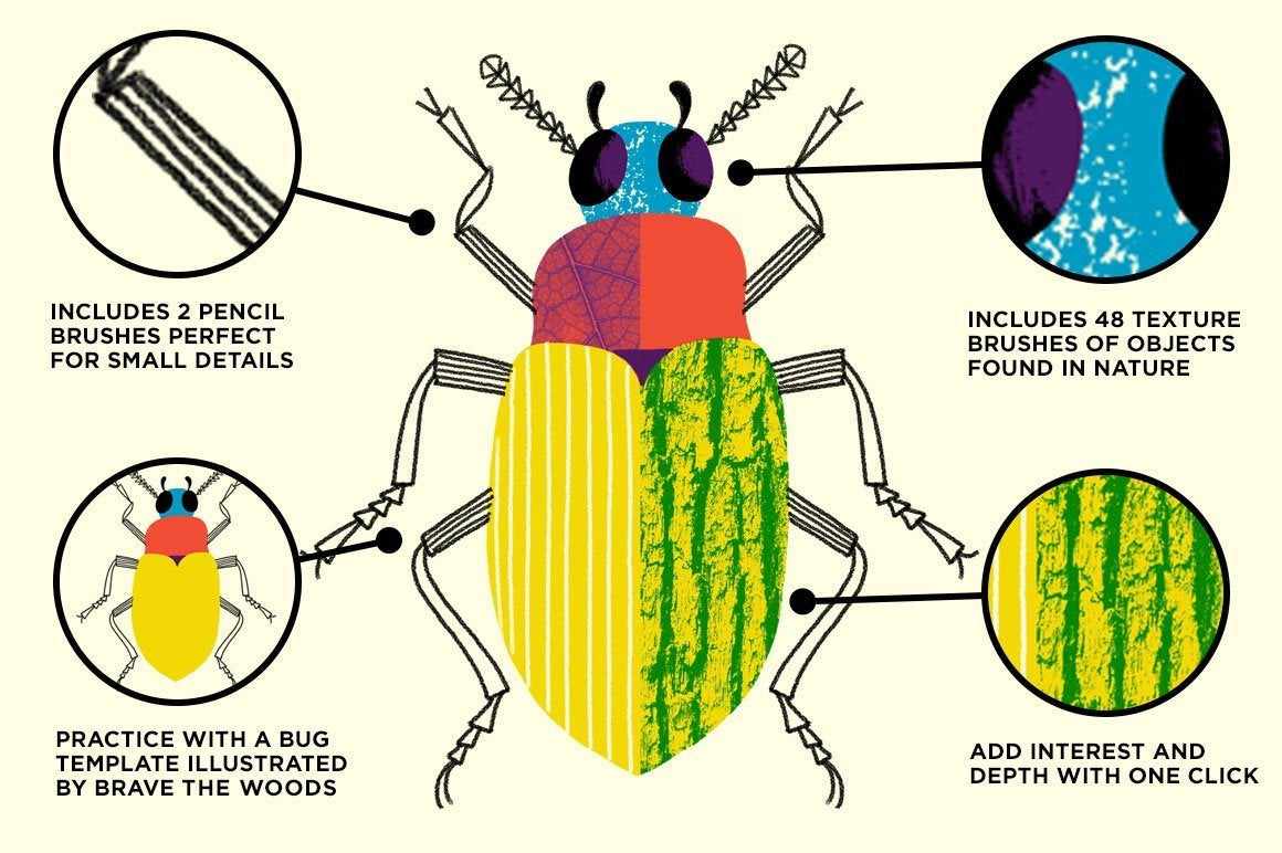 Bug Lab | Nature Texture Brushes for Photoshop Brushes RetroSupply Co. 