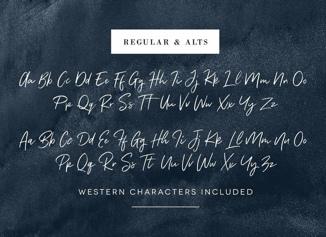 The Vintage Bundle by HSCO Fonts RetroSupply Co