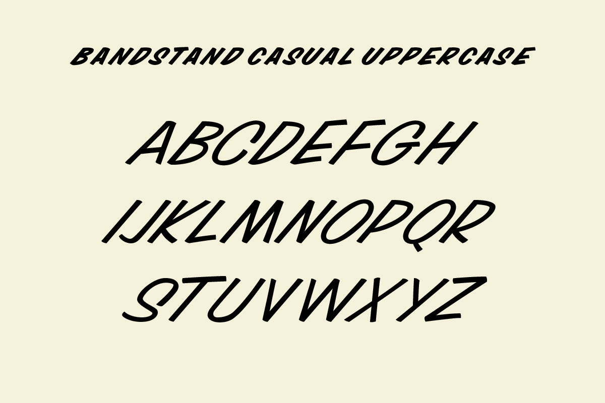 Price Deluxe Font Bundle