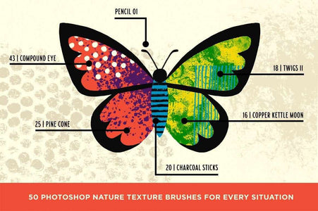 Bug Lab | Nature Texture Brushes for Photoshop Brushes RetroSupply Co. 