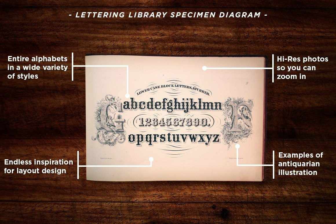 Lettering Library | Mega Bundle Resources RetroSupply Co 