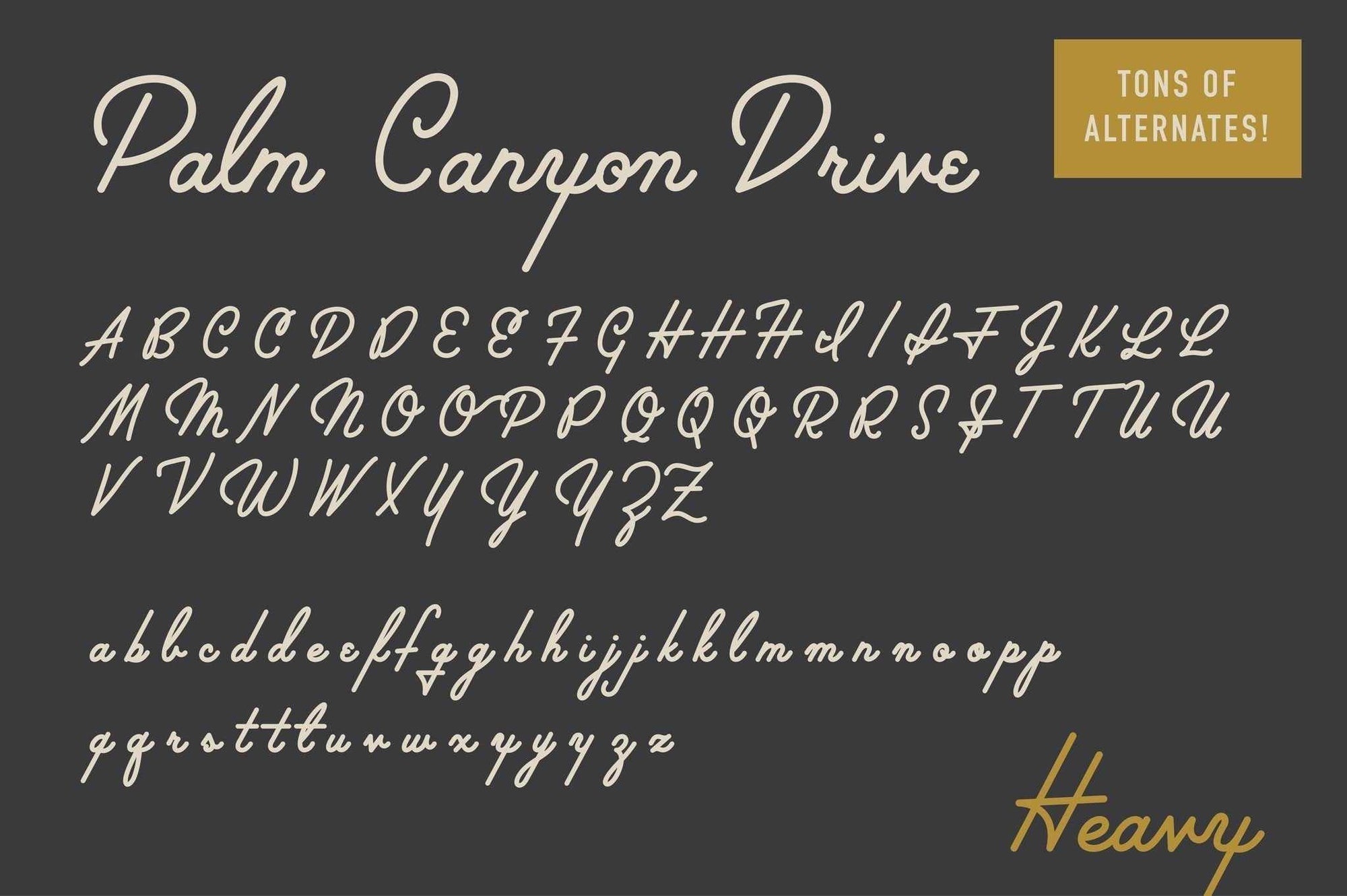 Palm Canyon Drive [Deluxe Edition] Fonts RetroSupply Co 