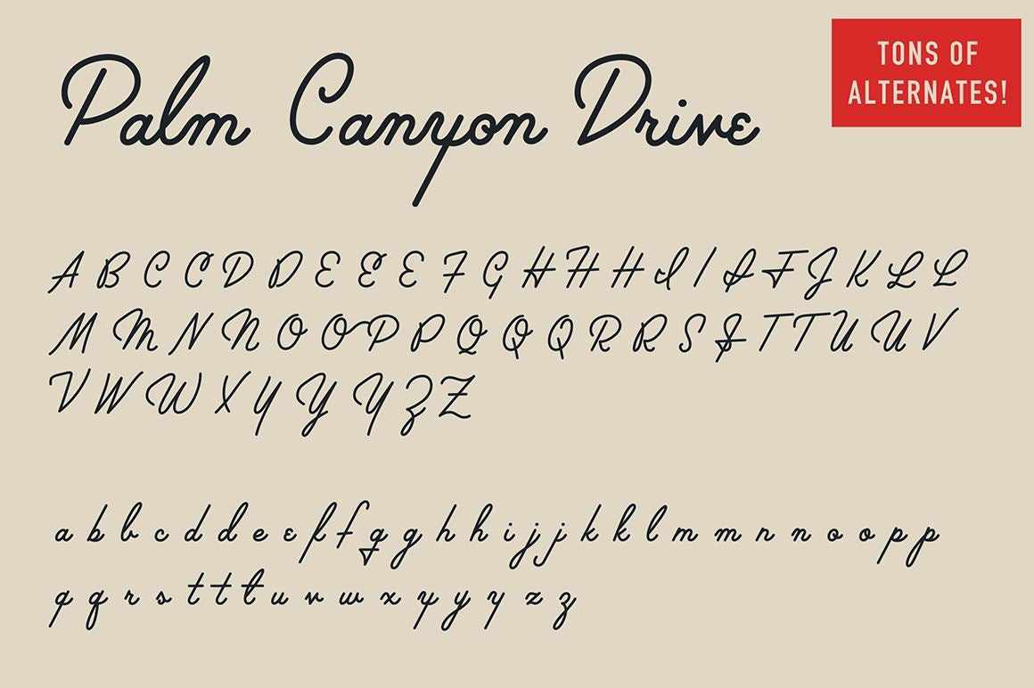 Palm Canyon Drive Fonts RetroSupply Co 