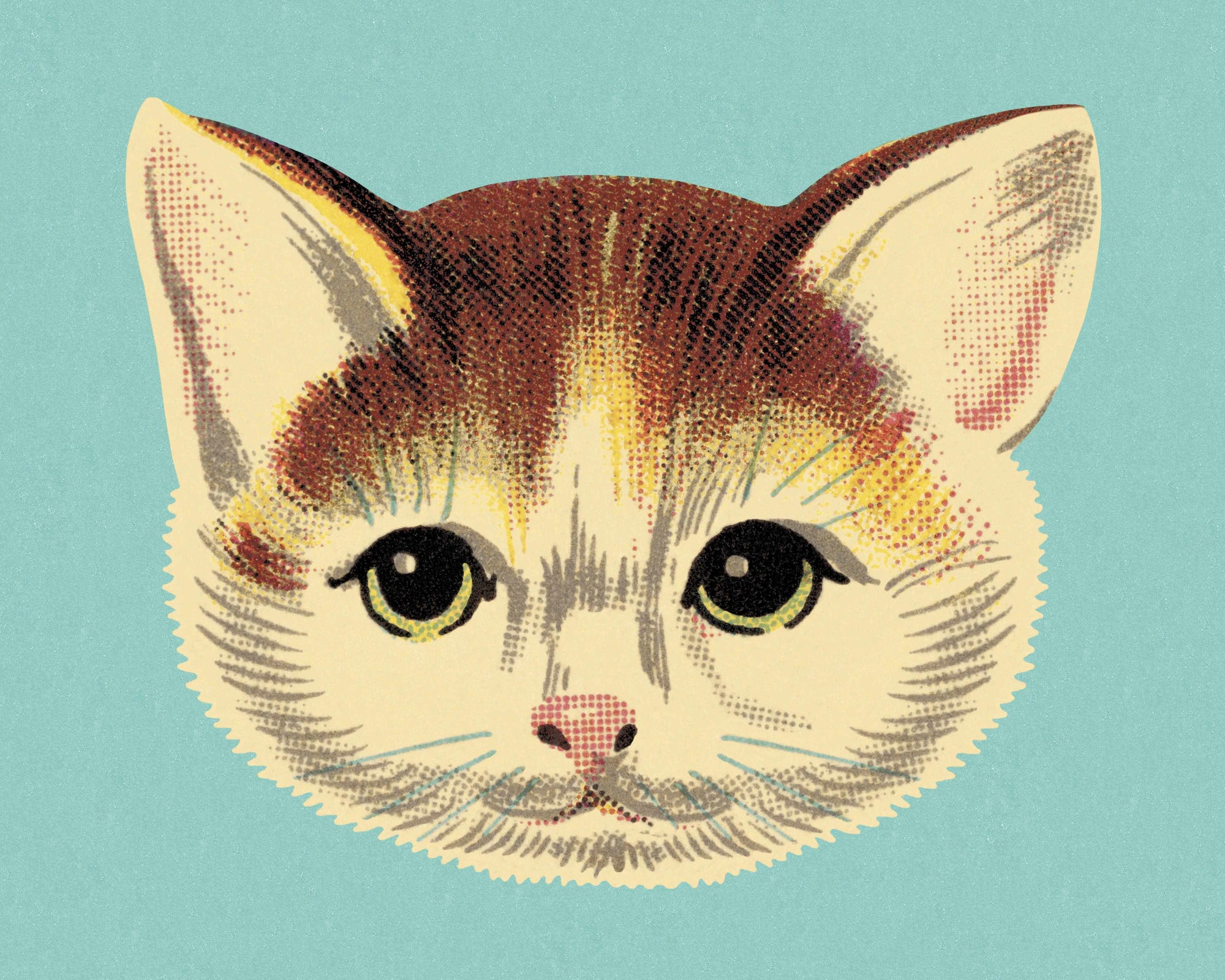 Schrödinger's Cat RetroSupply Co. 
