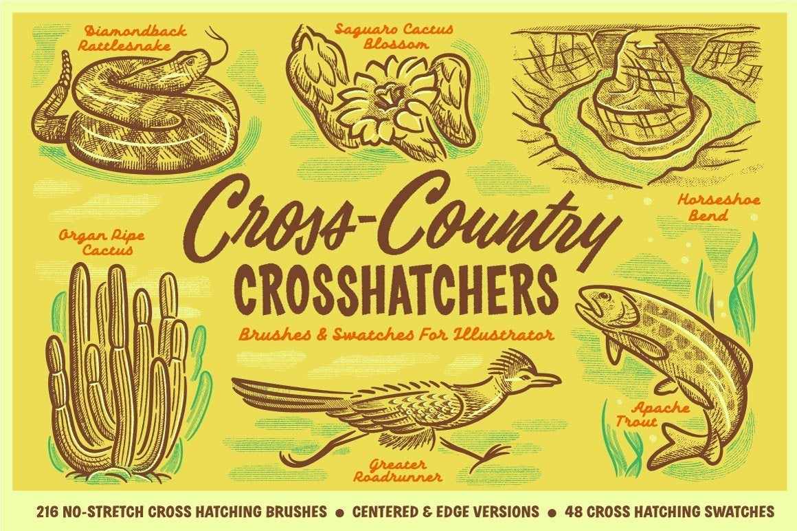 Cross-Country Crosshatchers Crosshatching Brushes for Adobe Illustrator by RetroSupply